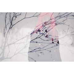Winter Dreams