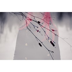 Winter Dreams