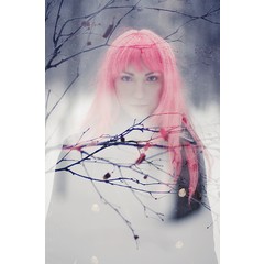 Winter Dreams