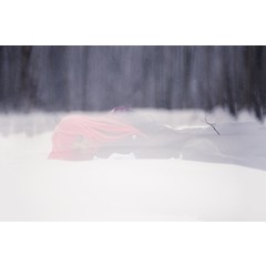 Winter Dreams