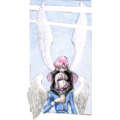 Black wings turning white again