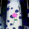 av_Utena-mix_59.jpg